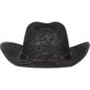 imageCC Classic Western Wide Roll up Brim Turquoise Charm Trim Band Cowboy Cowgirl HatBlack