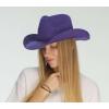 imageCC Sparkly Sequin Cowboy Hat with Suede String Trim Purple