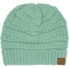 Solid Pale Mint