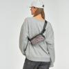 imageCC Belt Bag for Women Crossbody Fanny Pack with Adjustable Strap  Fashion Waist Pack Gifts BG4253 WhiteAnimal Print  Zebra