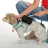 imageCC Mini Detachable Sling Backpack Keychain  MultiColorBlack