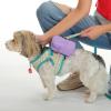 imageCC Mini Detachable Sling Backpack Keychain  MultiColorLavender