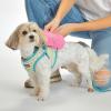 imageCC Mini Detachable Sling Backpack Keychain  MultiColorPink