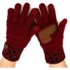 Leopard-burgundy